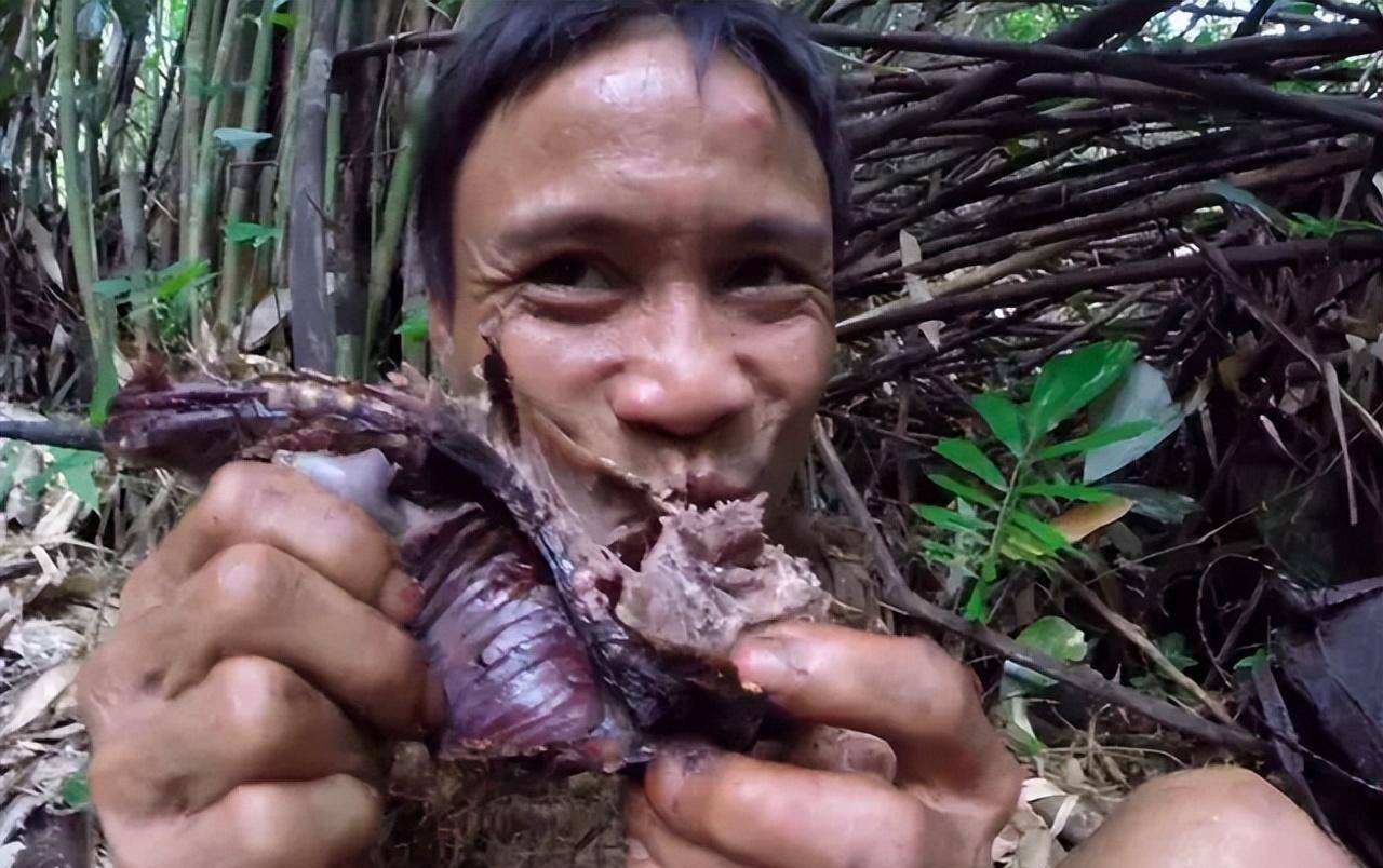 两野人在丛林生活41年