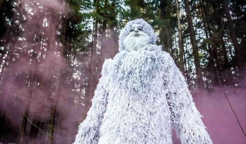 它们怎么生存?_喜马拉雅山脉_故事_牦牛