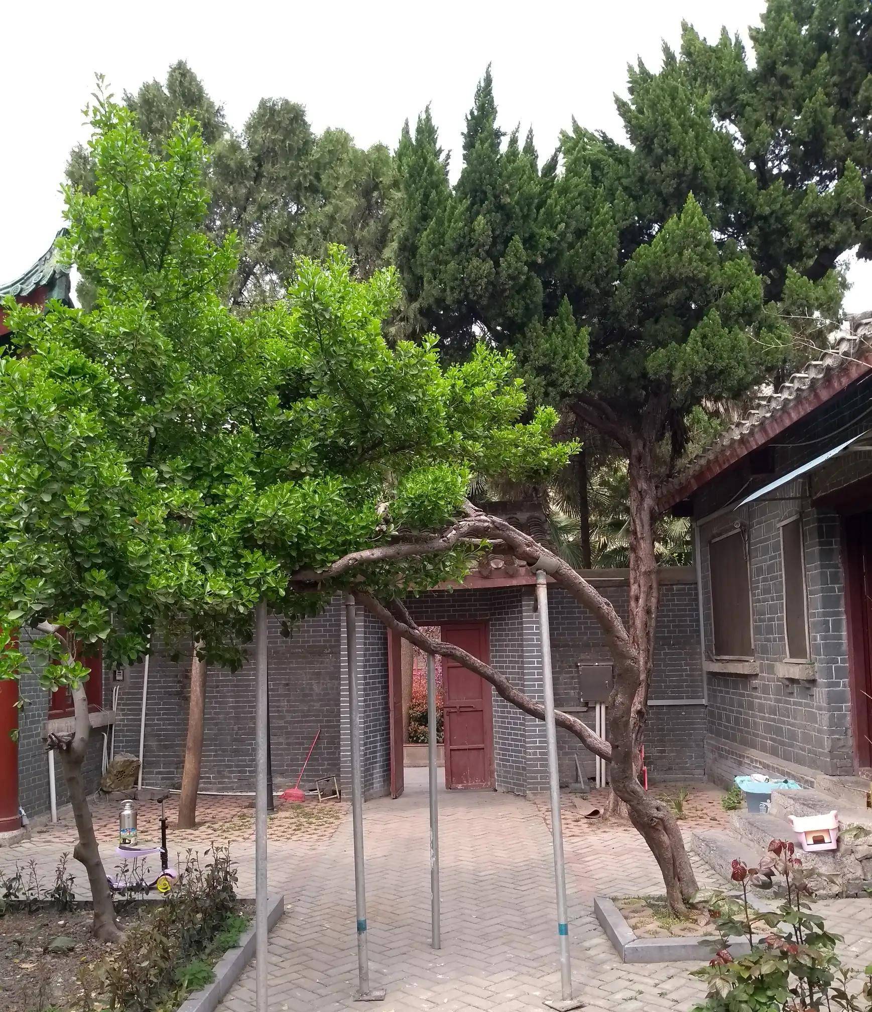 绿色之城,文明之城,观赏石之城,书画之乡,有开通100多年的津浦铁路