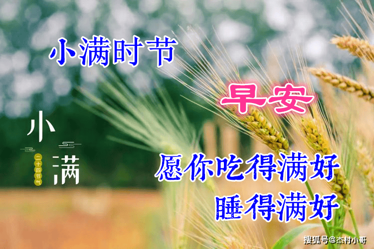 2024年5月20日小满早上好问候语,早安祝福语大全
