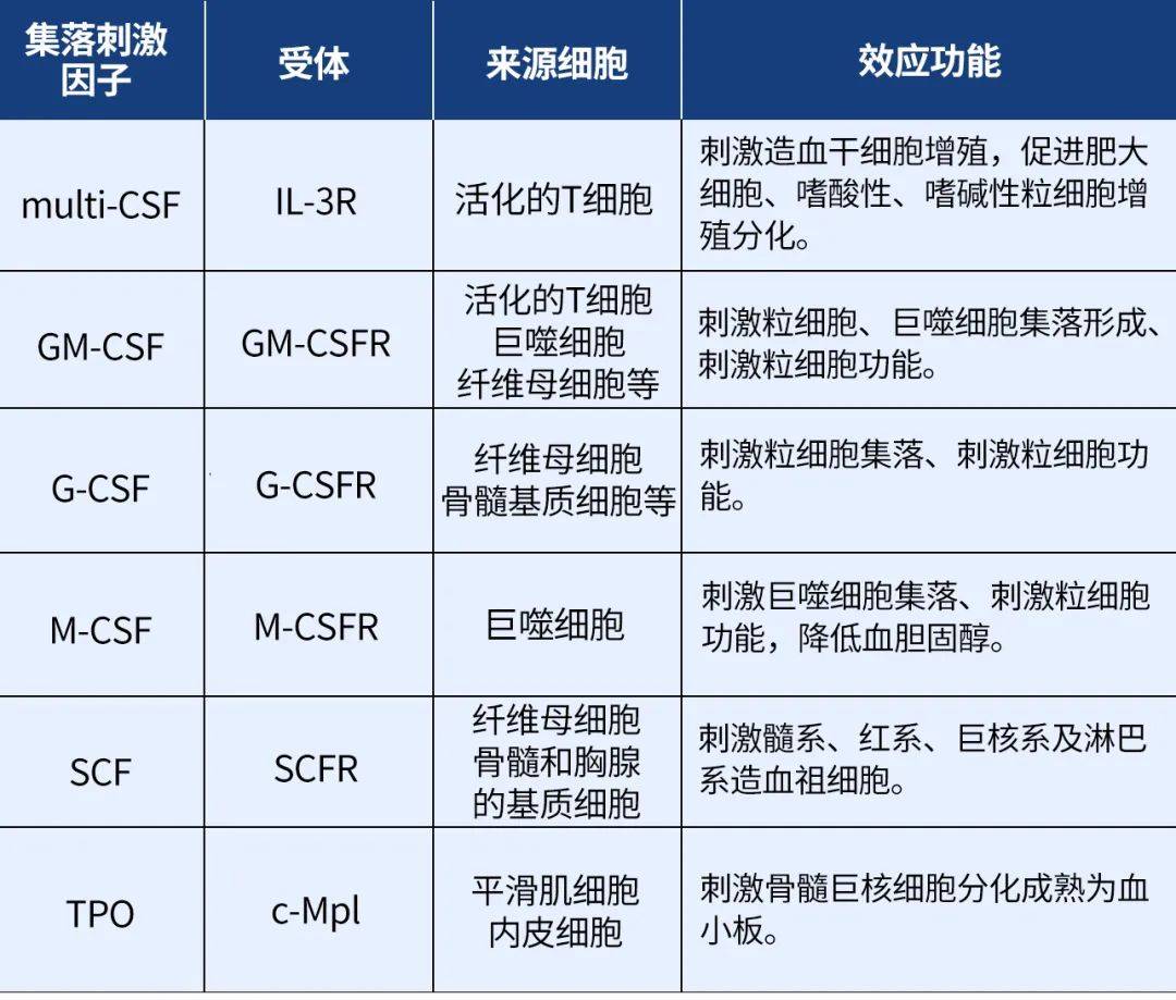 一文了解细胞因子