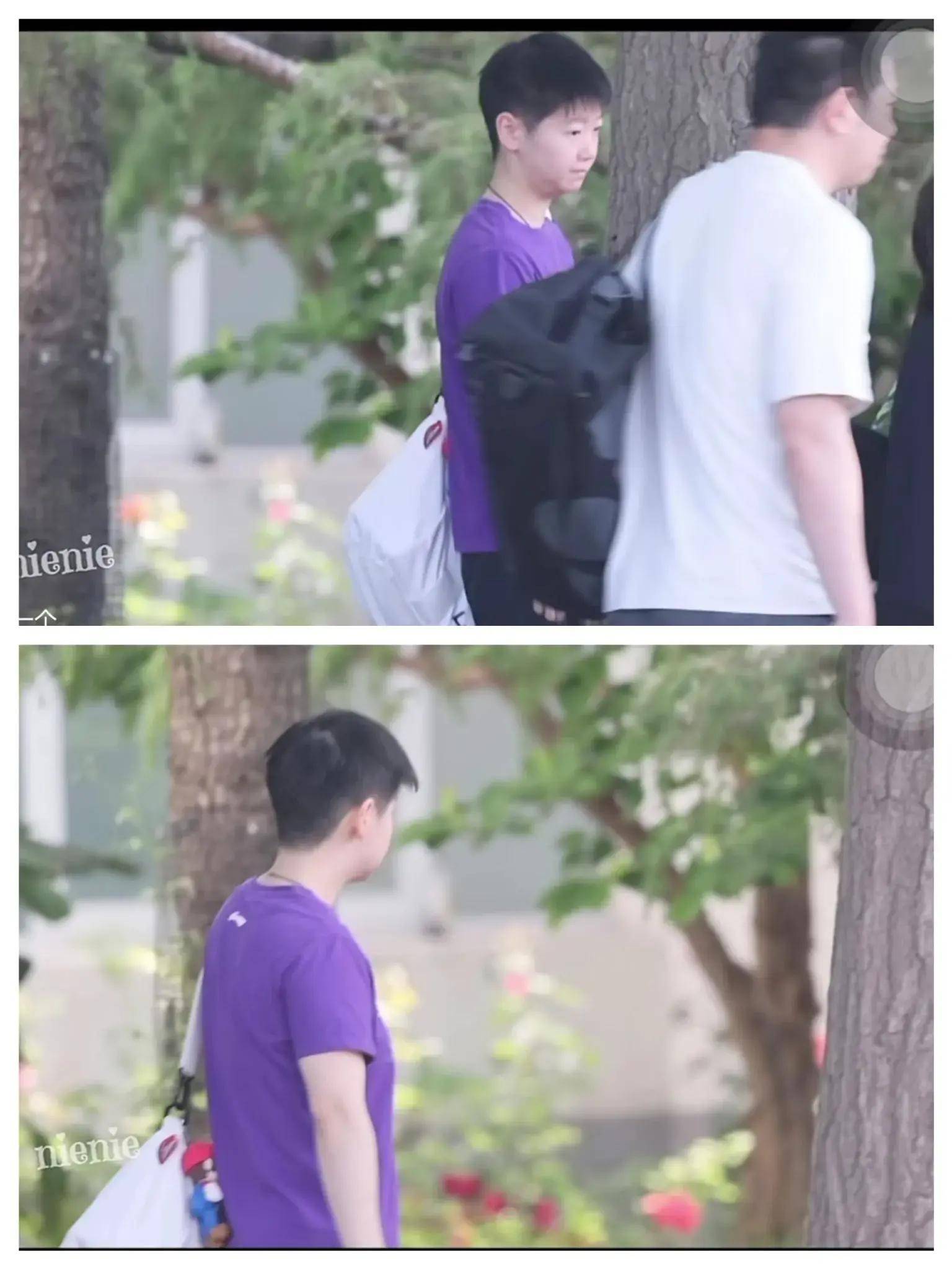 国乒今日新鲜事:莎莎清爽新发型,高远,小胖上训,柳丁现身太原