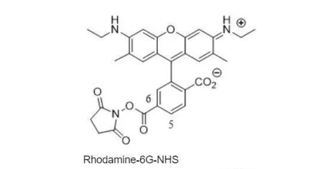 180144-70-1,6-罗丹明6g琥珀酰亚胺酯由罗丹明6g
