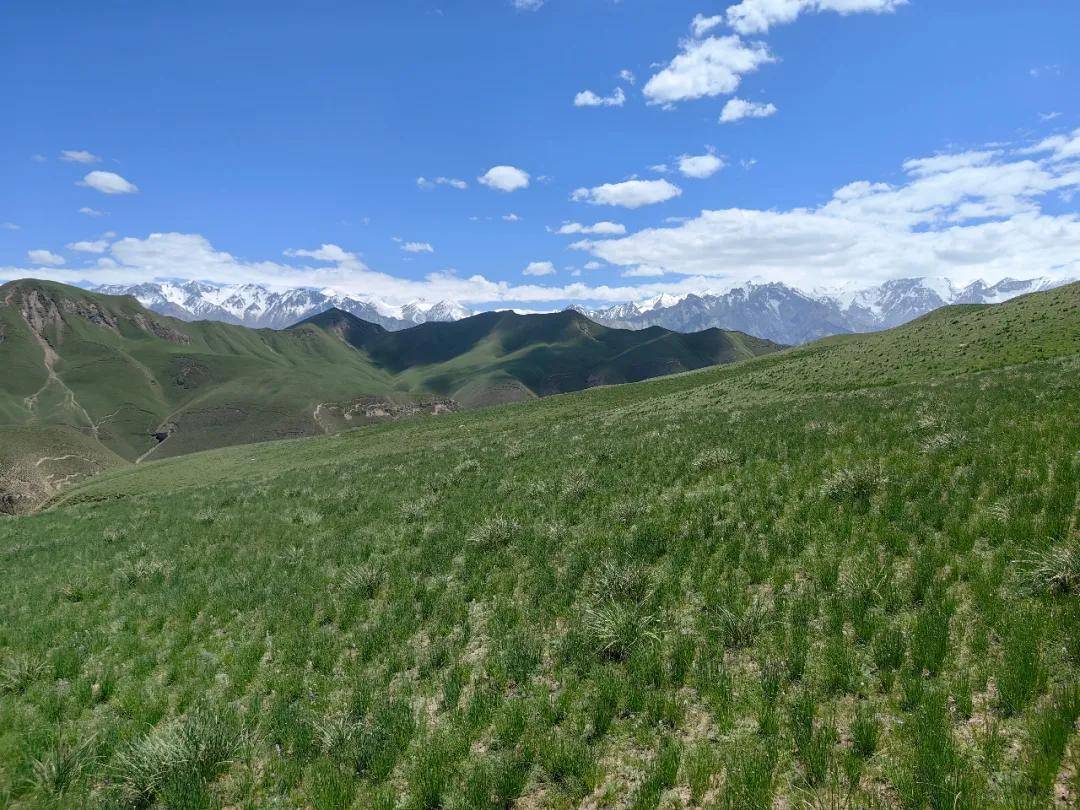 立刻出发!去和田县喀什塔什乡大草原邂逅心灵的牧场