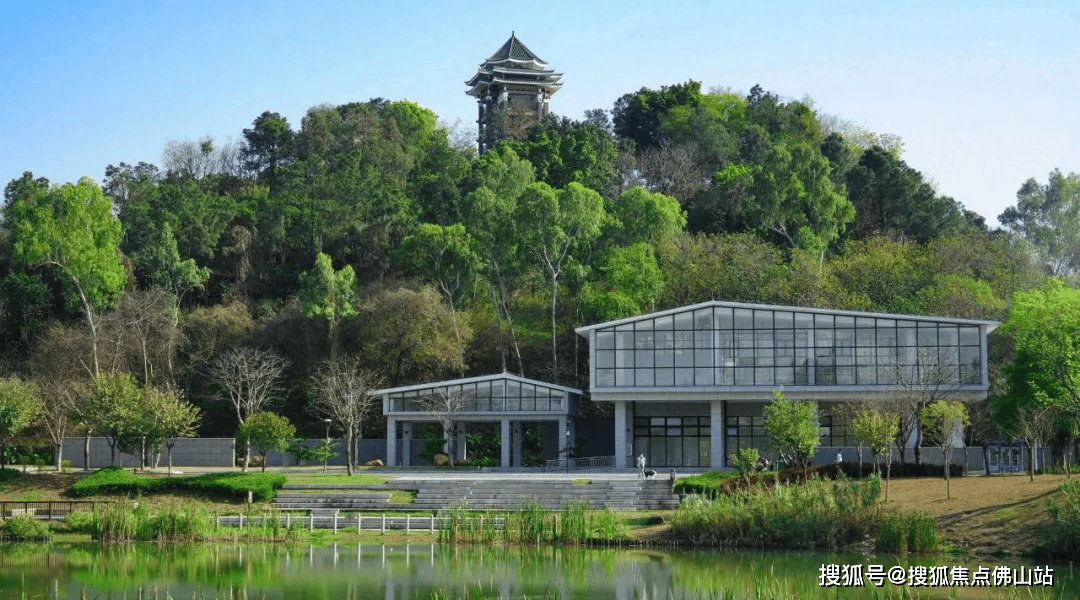 走进王借岗森林公园,浓浓的"森"气息扑面而来,仿佛置身于一个天然的大