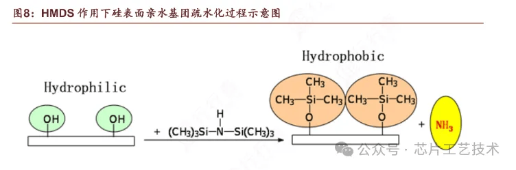 wafer表面的亲水性和疏水性会影响什么