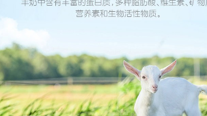 羊初乳配方奶粉的功效和作用,对人体有什么好处,适合人群有哪些