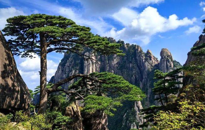 黄山之旅,领略千年古韵与风光的完美融合