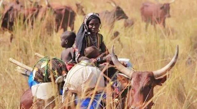 恶魔皇帝博卡萨:残暴无度食人肉,娶中国18岁姑娘,下场如何