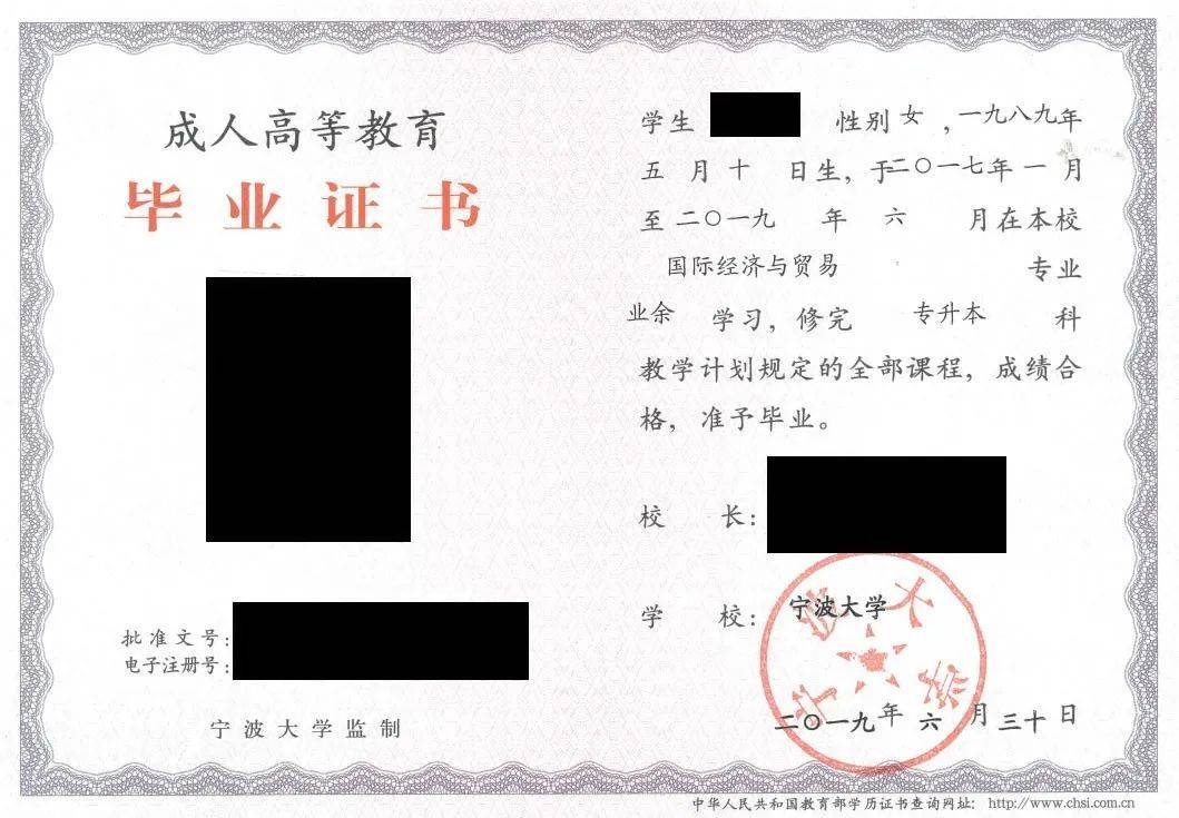 宁波大学成人高考专业汇总附报考指南-宁波大学成人高等学历招生网官网