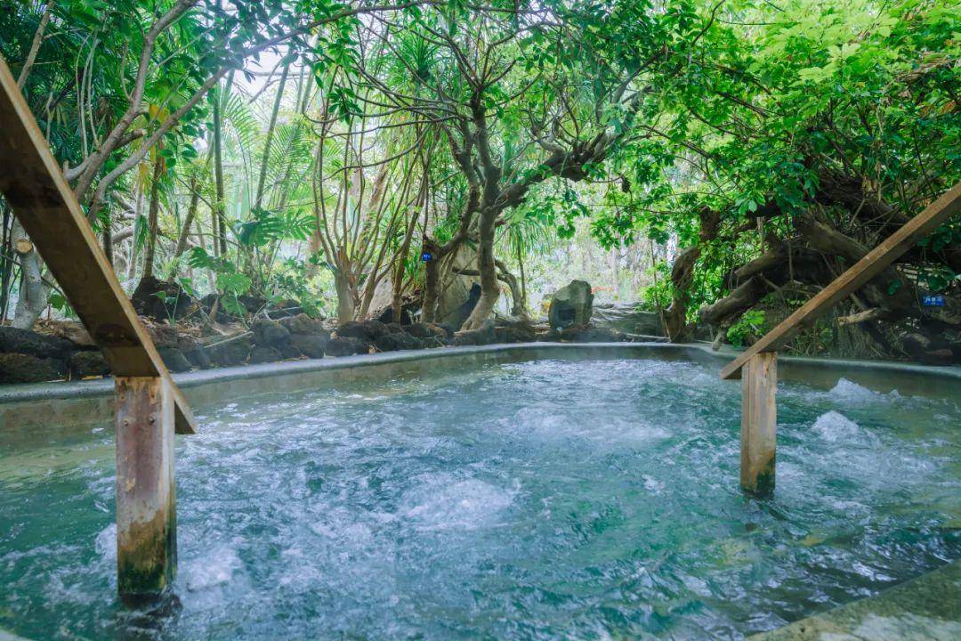 5·19中国旅游日丨畅游中国幸福生活,腾冲温泉康养正当时_温泉之_热海