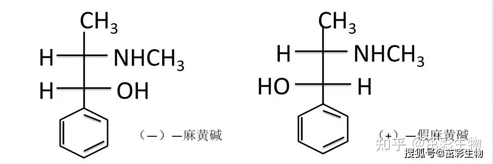 麻黄碱化学结构式图片