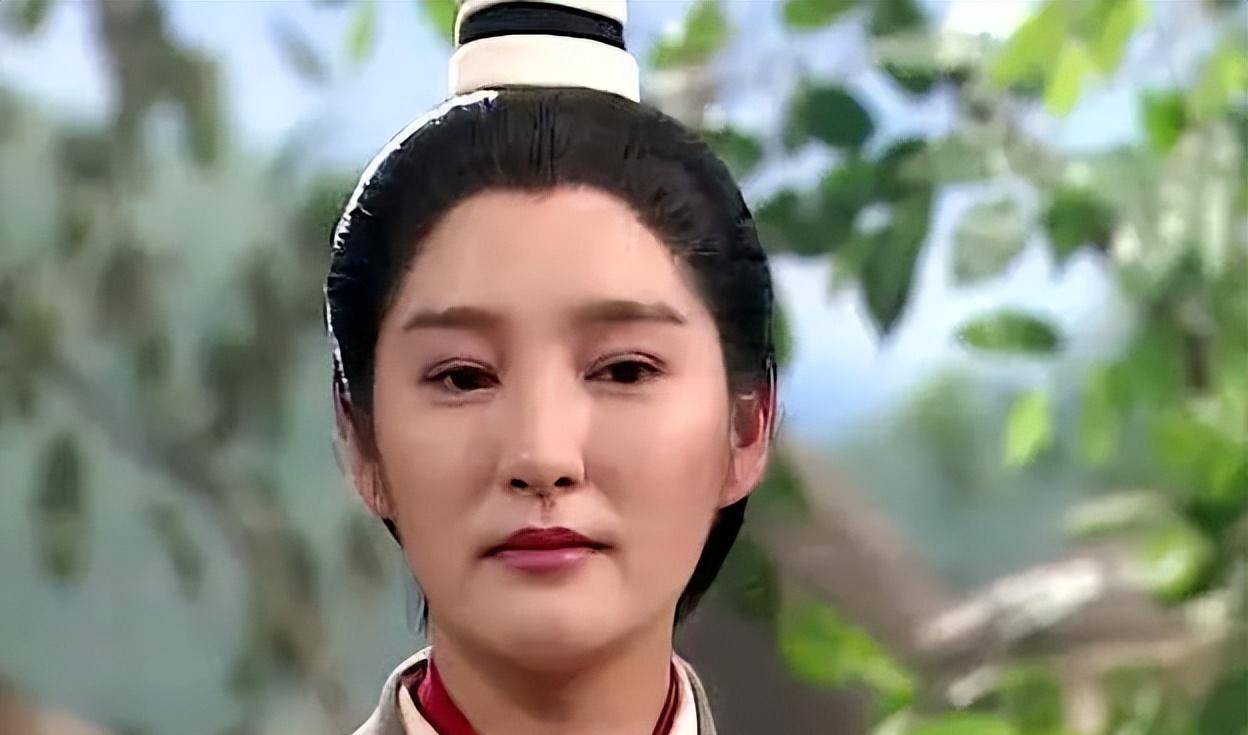 多部热门电视剧,包括《刑事侦缉档案ii》,《天龙八部》,《寻秦记》等