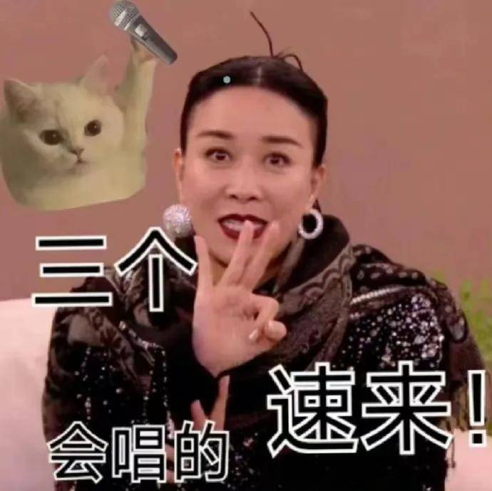 于是《歌手2024》一夜之间化身宇宙调侃中心,各种又损又好笑的表情包