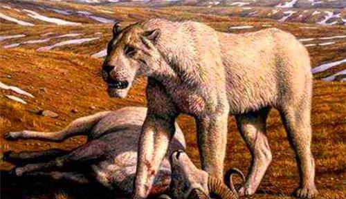 科学家指出一种凶狠动物,差点吃光人类祖先_南方_古猿_化石