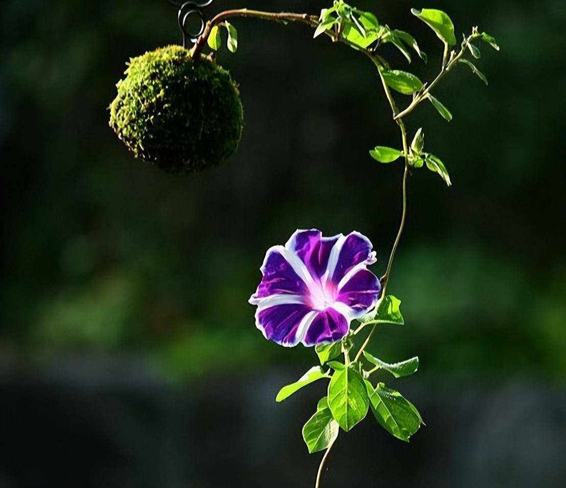 大智若愚的星座,很善于掌握主动权,有头脑,还能够隐忍,不简单
