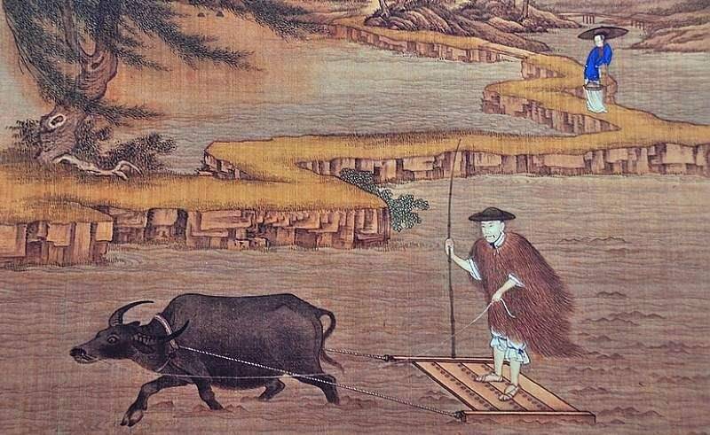 老农找包拯告状,牛舌头被偷,包拯:回去把牛宰了,小偷就会出现