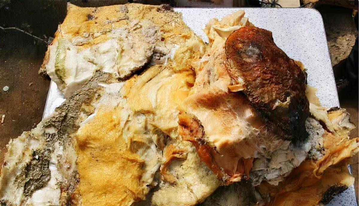 太岁究竟是啥?价值百万,中国科学家用精密仪器检测揭开太岁之谜