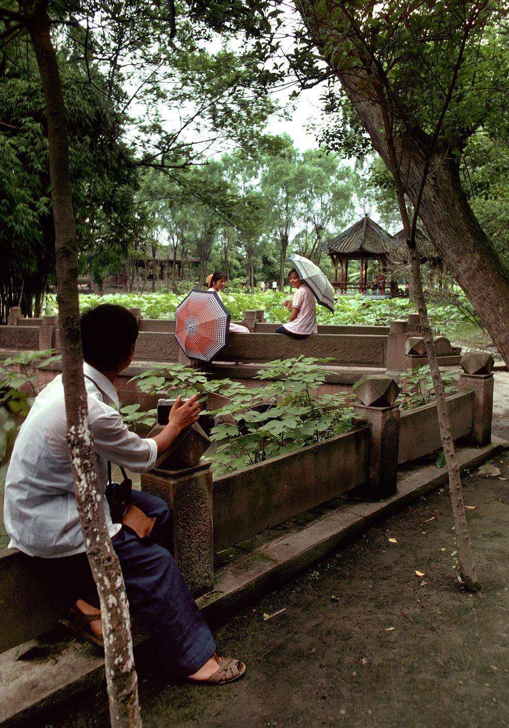 1981年的杭州老照片,那才是人间天堂