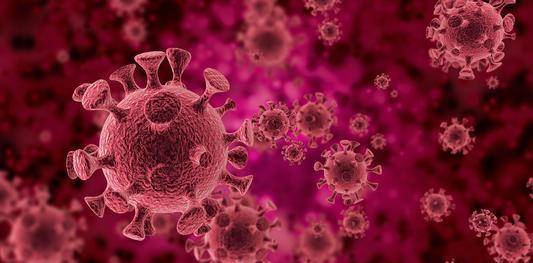 又是如何结束的?_病毒_传播_人类