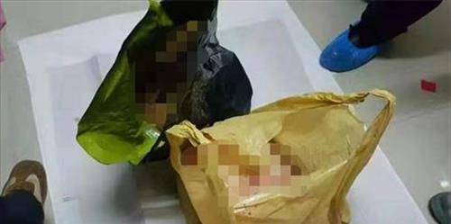 为了掩盖自己的罪行,她将丈夫和婆婆分尸藏在冰箱里,一点点扔出去.