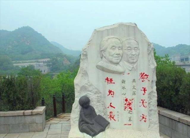 吴山:父亲劈腿,母亲被逼至抑郁,为报复在奶奶冰心墓碑上泼红漆