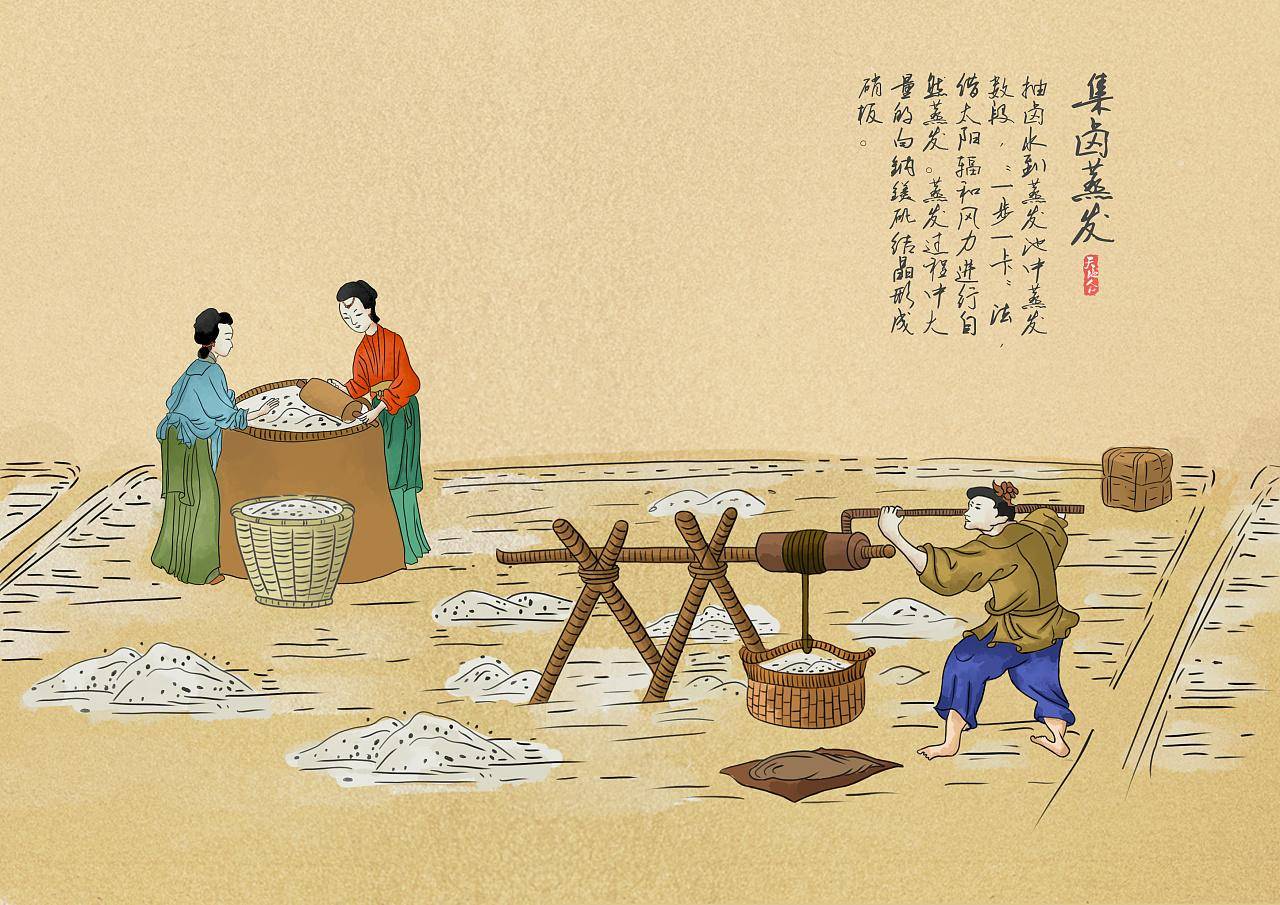 古代的食盐非常昂贵,为何百姓不自己从海水中晒出来?是他们傻吗