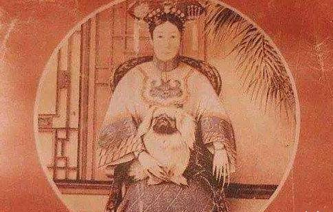 狩猎,看家,朋友,看狗狗如何一步步成为我们的亲密伙伴