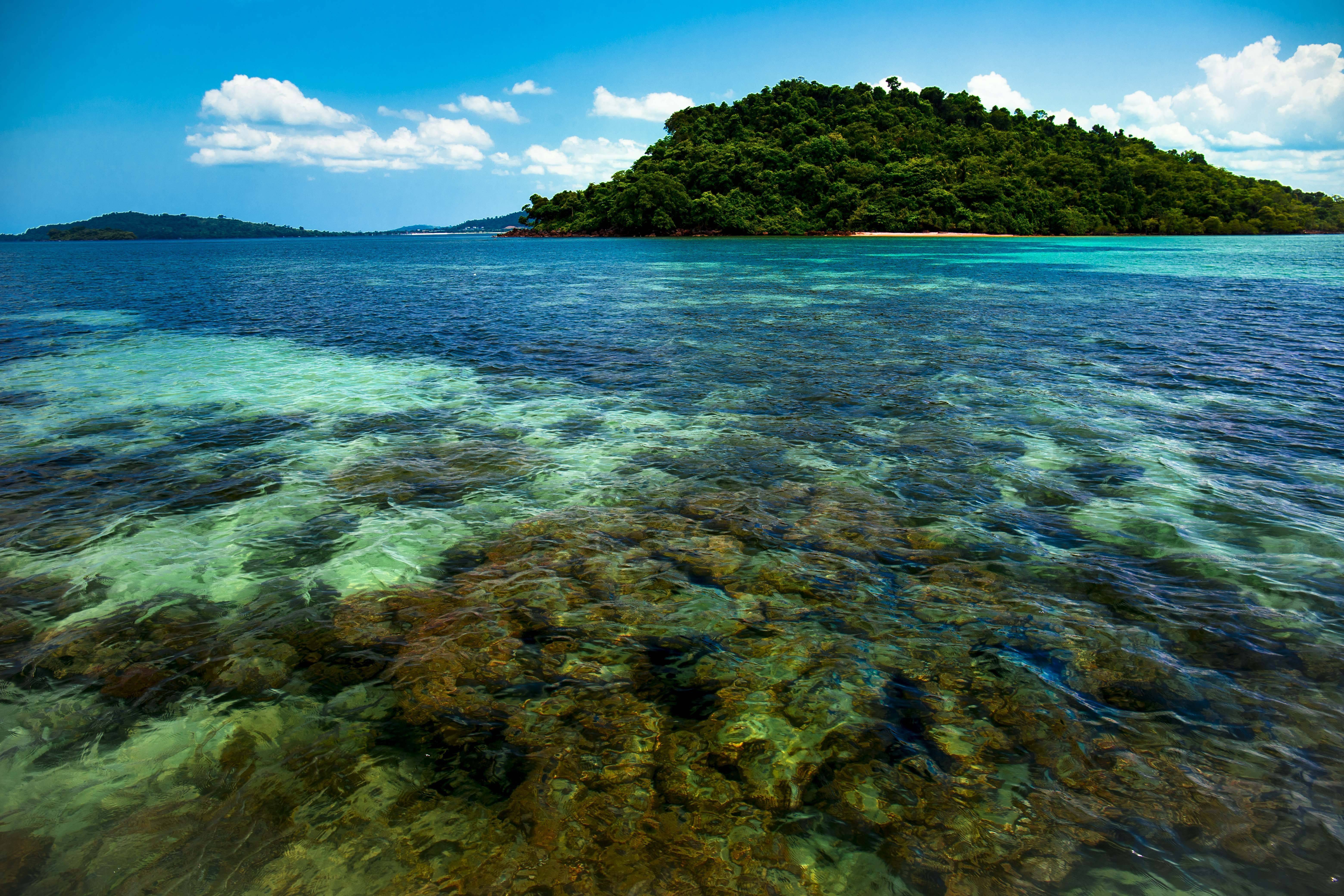 青山绿水:七星海的自然资源与生态保护
