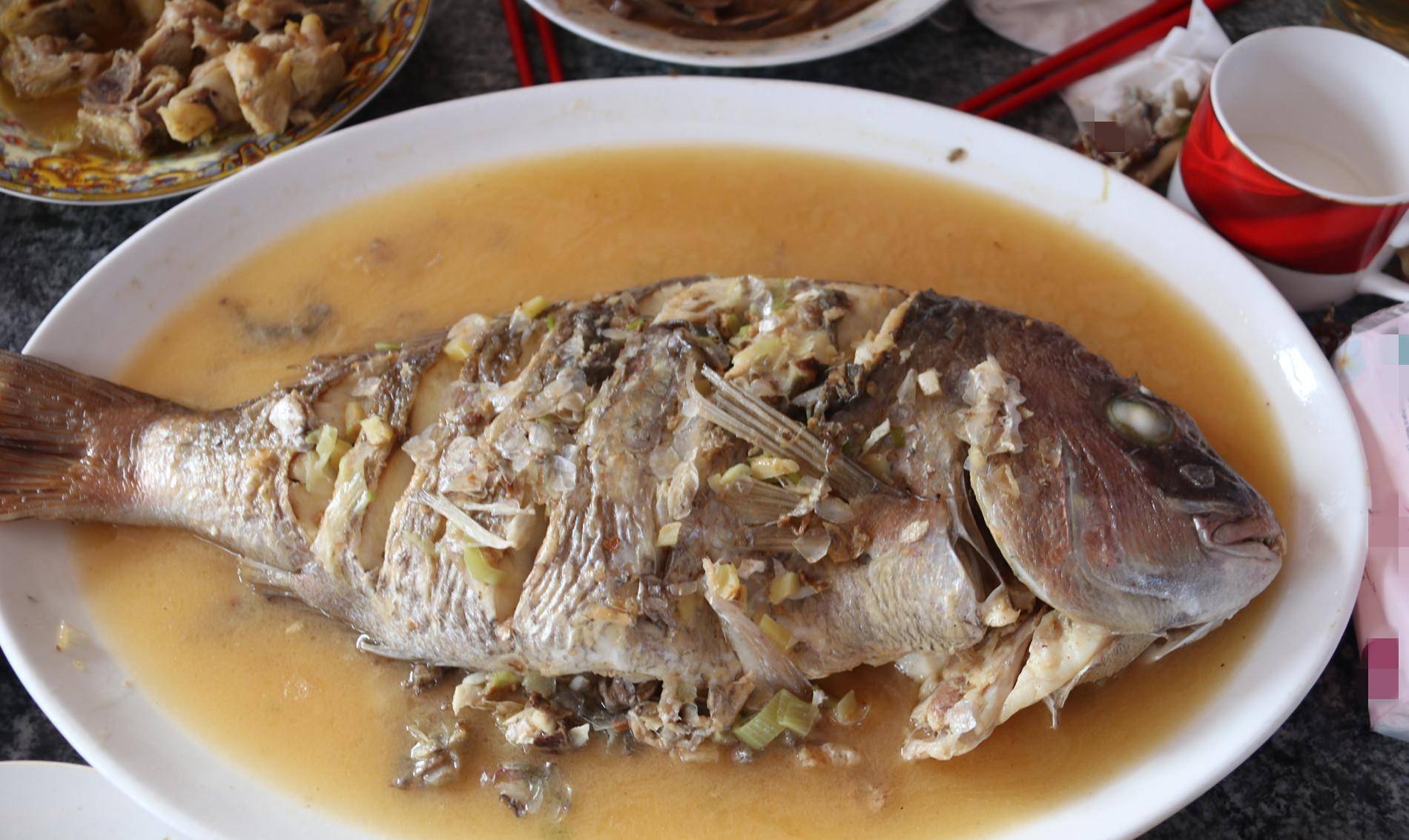 加吉鱼为海鱼中的上品,价格一直相对加高,1985年时的统计数据虽然没有