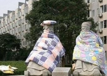 晒完被子后有"阳光的味道"其实是螨虫尸体的味道,这是真的吗?