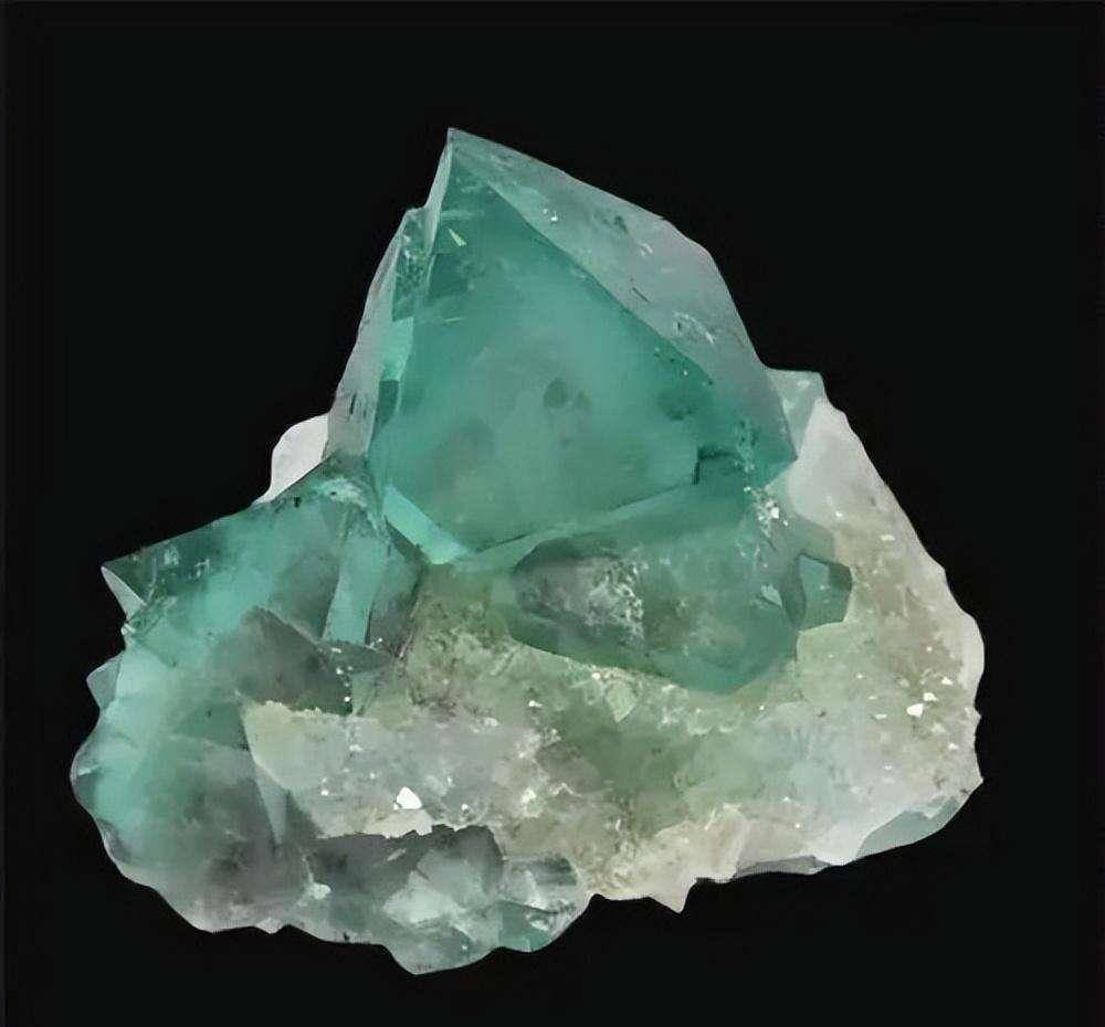 福建深山发现"蛇眼石",散发奇香冒绿光,深夜引来大量毒蛇聚集