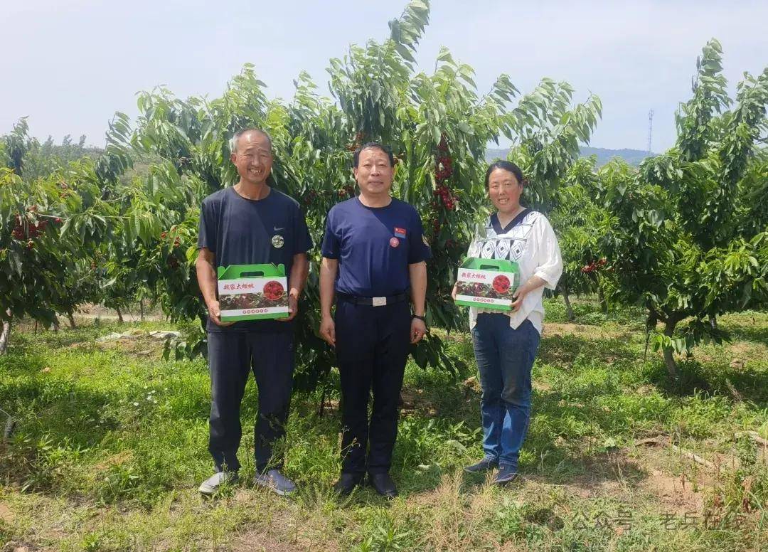 老兵在线沂南行:走进双堠镇五道沟