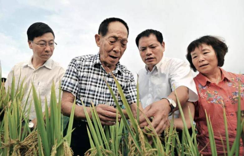 这本全国唯一的驾照,只有袁爷爷手里的一本_袁隆平_杂交_水稻
