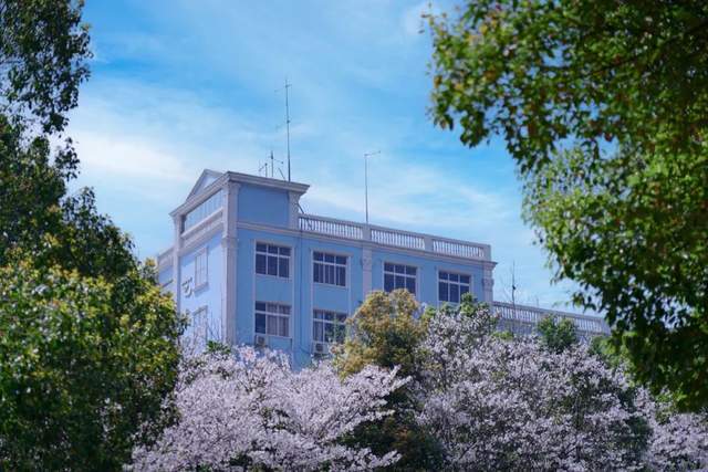 武昌理工学院"校园好春光"作品来了!