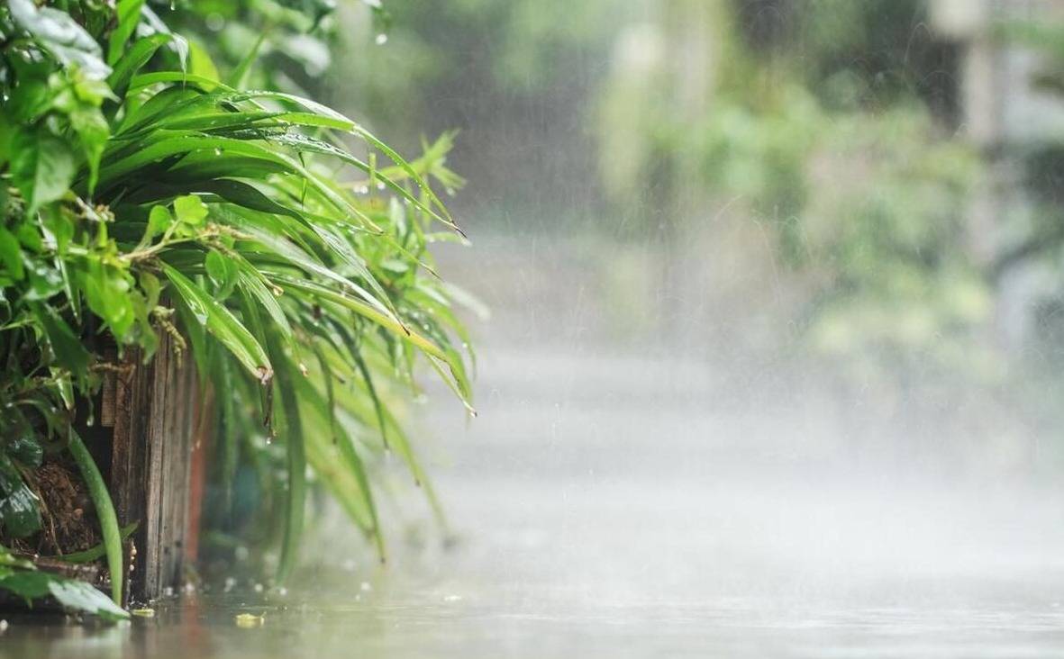 重庆的梅雨季图片