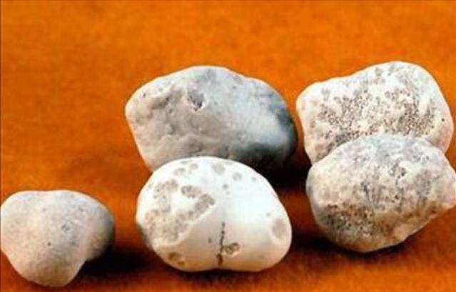 "舍利子"之谜:为何普通人不出舍利子,唯有高僧圆寂后才有?