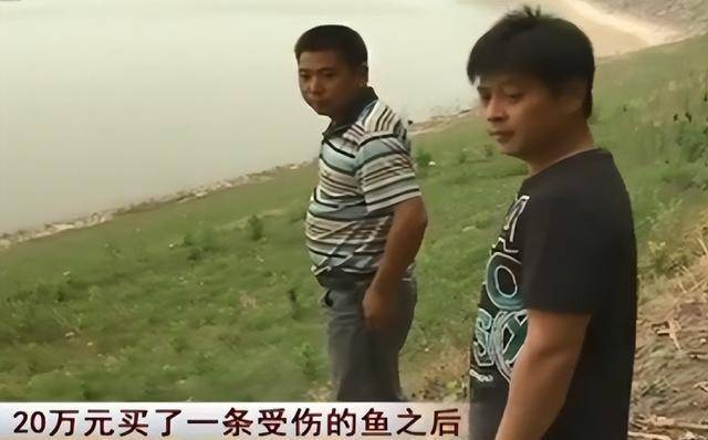 创作者
            20万买两条丧命的鱼，3年后赚了上亿，他是是不是努力做到的？(图14)