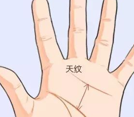 手相算命:手纹长这样的人,事业人缘两旺,财多福多,你有吗?