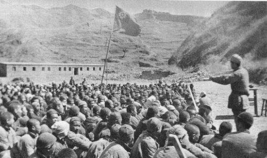 第386旅出了两个主力团,还有一个新1团,是由什么部队组成的?