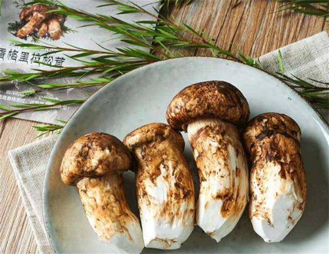 松茸保存方法大揭秘,松茸保质期一般多久?