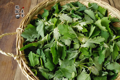 它是夏季最该吃的野菜,是菜也是药,去除口臭防贫血,拿肉都不换