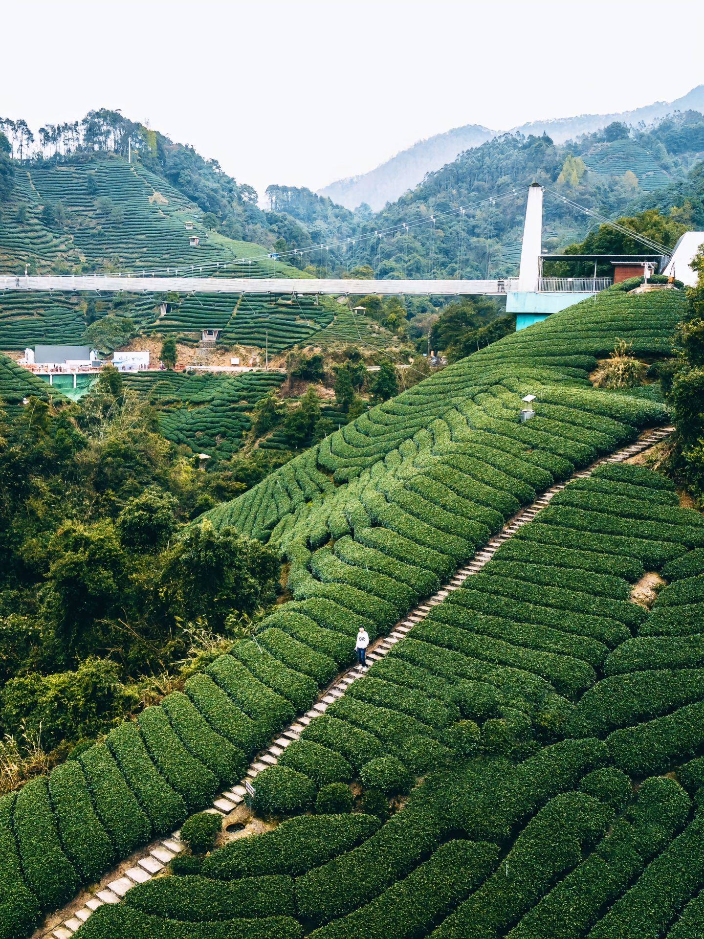 贺州姑婆山景点图片