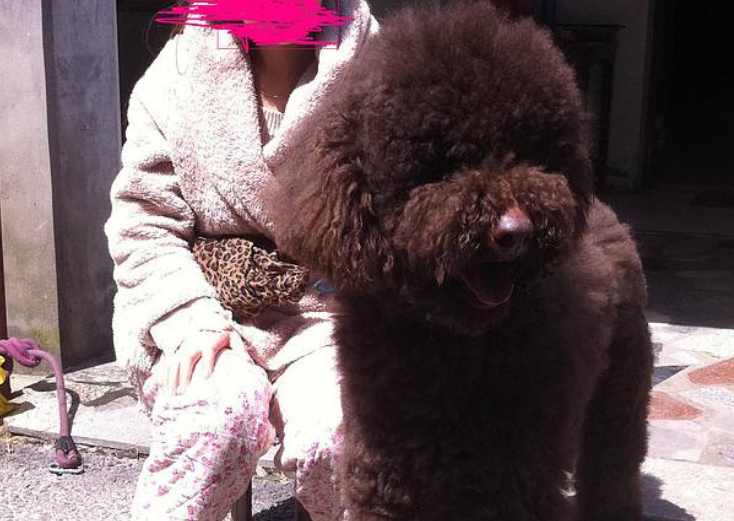 带巨贵出去玩遭它耍赖,老爸全程背着巨贵,好宠溺