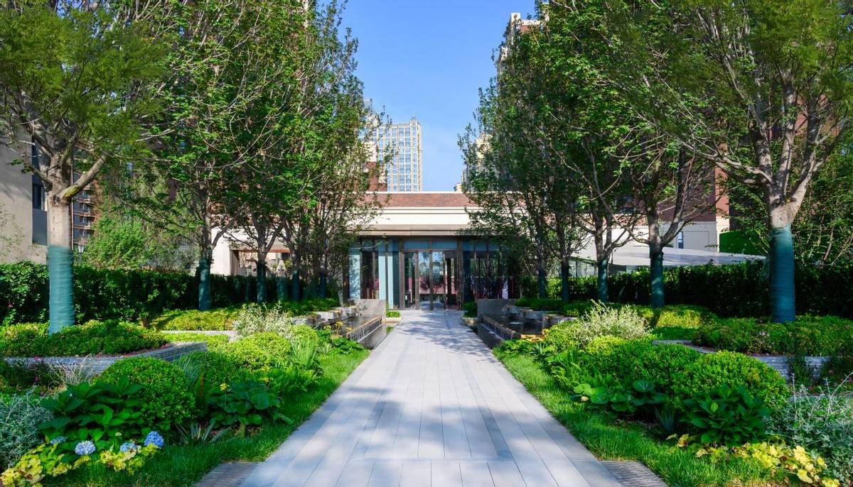 翡翠书院依地形起伏,舒展阳光草坪上的生活场景,同时选取12棵特型栾树