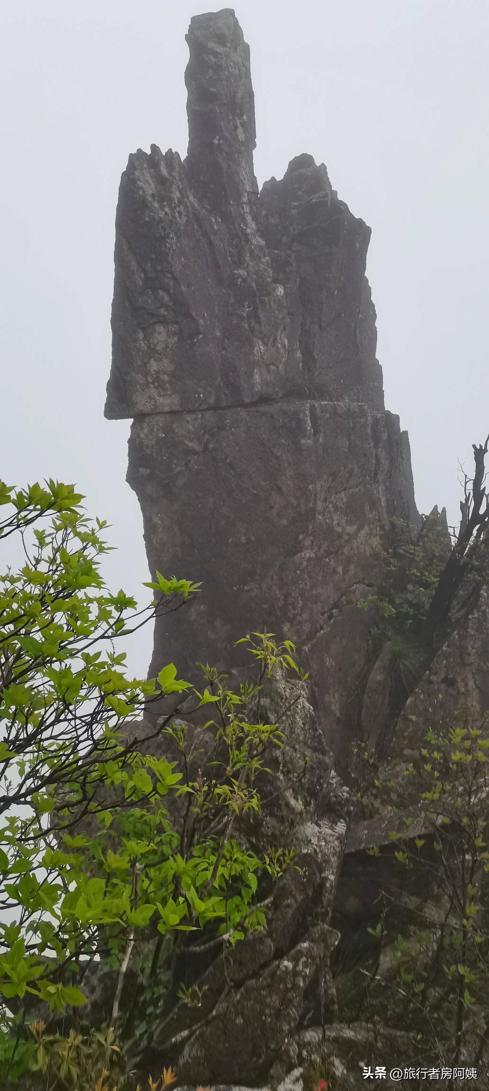 浙江最高的山峰图片