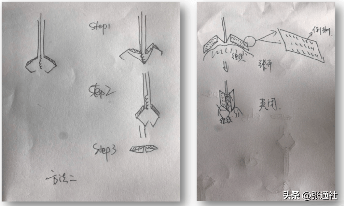 此后,从2018年6月1号开始到次年1月份,林林每天一大早第一件事是去