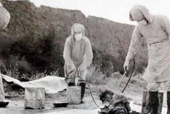 731部队所说的"圆木"是什么?实验前还被拍"真空"照片