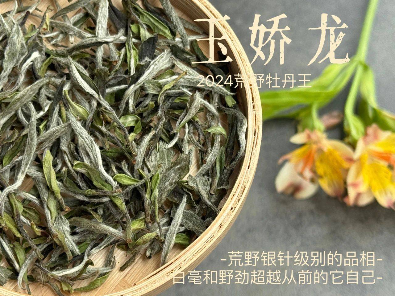 什么是荒野白茶?市面上那么多荒野白茶,怎么辨别真假呢?_茶树_马蹄结_