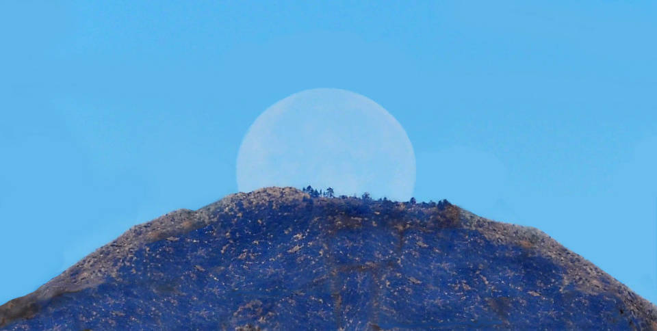 为什么我们可以在白天看到月亮?